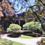 UCSC campus lIbrary
